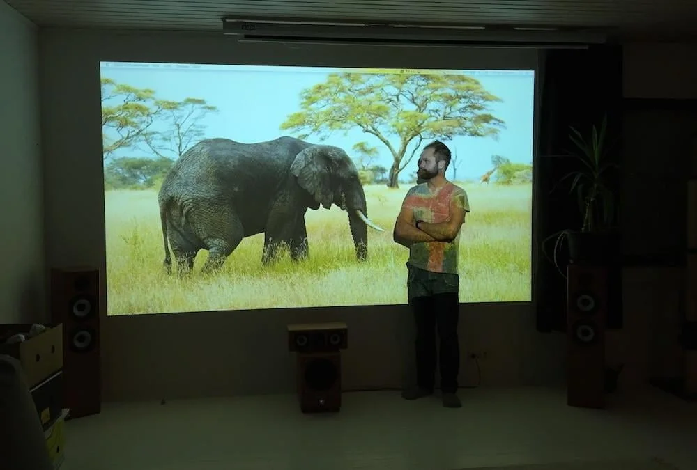 Projector Paint vs. Projector Screens - Smarter Surfaces